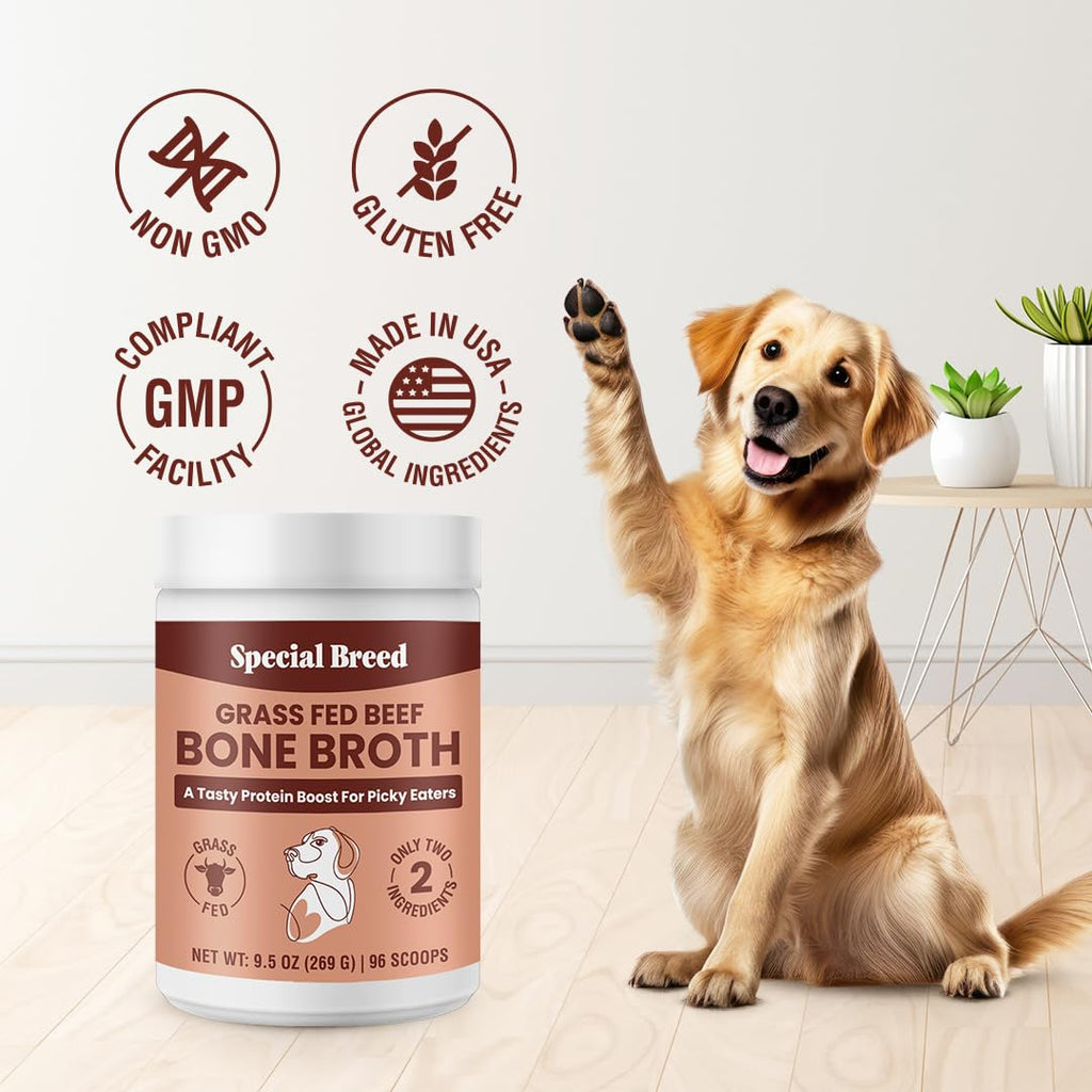 Grass Fed Beef Bone Broth Powder for Dogs and Cats 9.5oz R43594