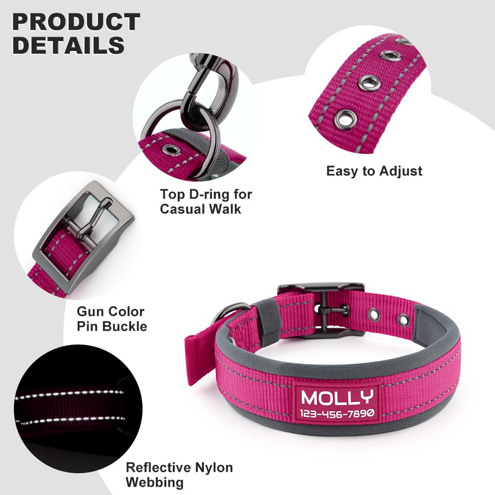 Personalized Dog Collar with Name and Number N65641