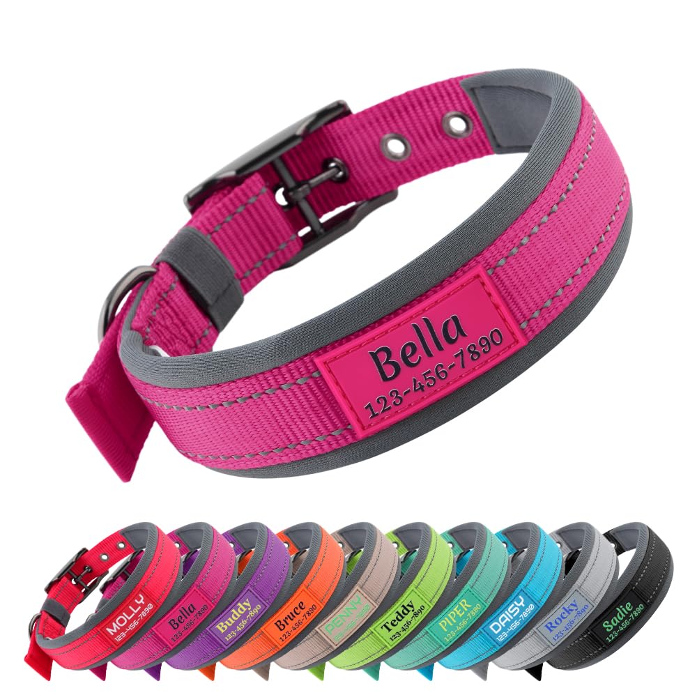 Personalized Dog Collar with Name and Number N65641