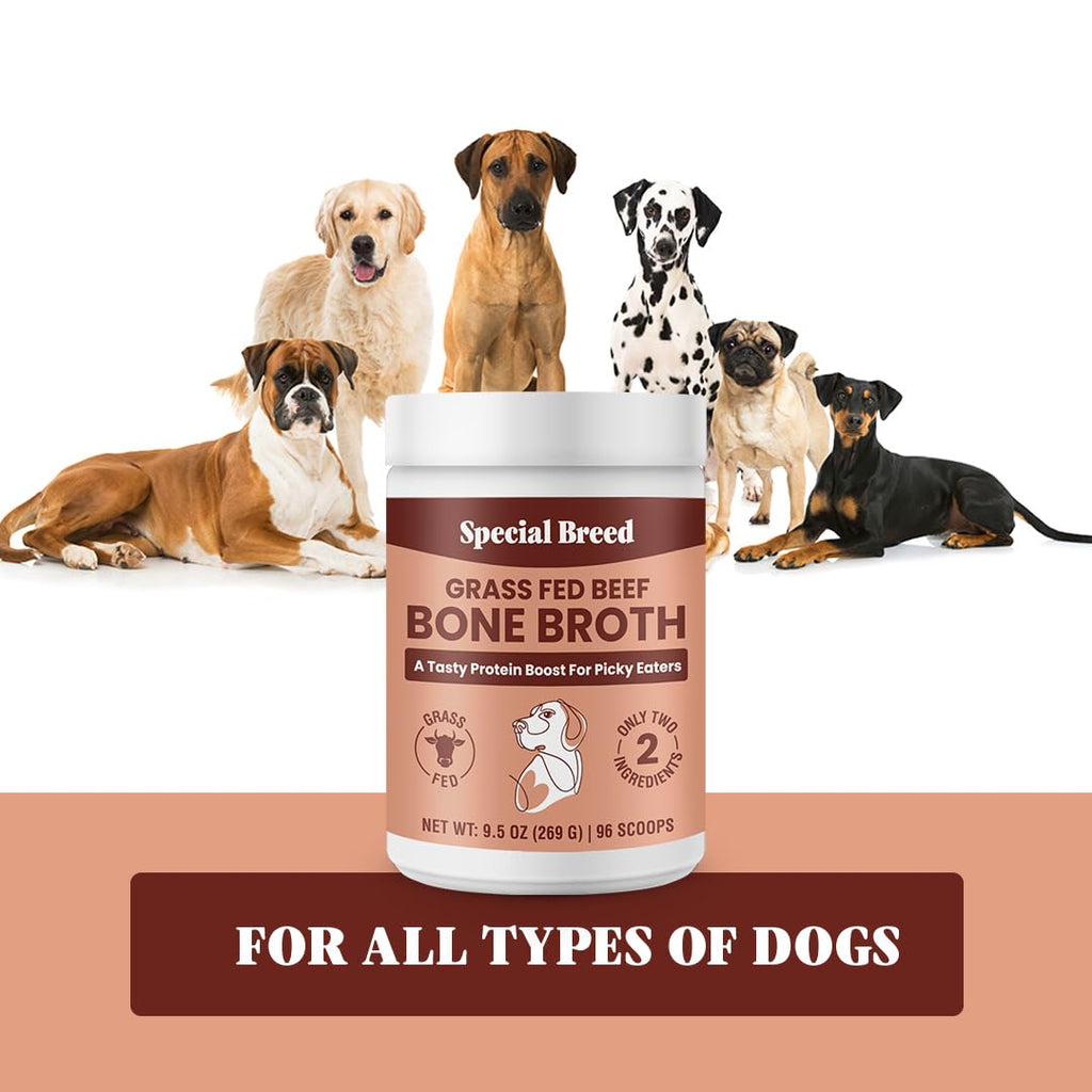 Grass Fed Beef Bone Broth Powder for Dogs and Cats 9.5oz R43594