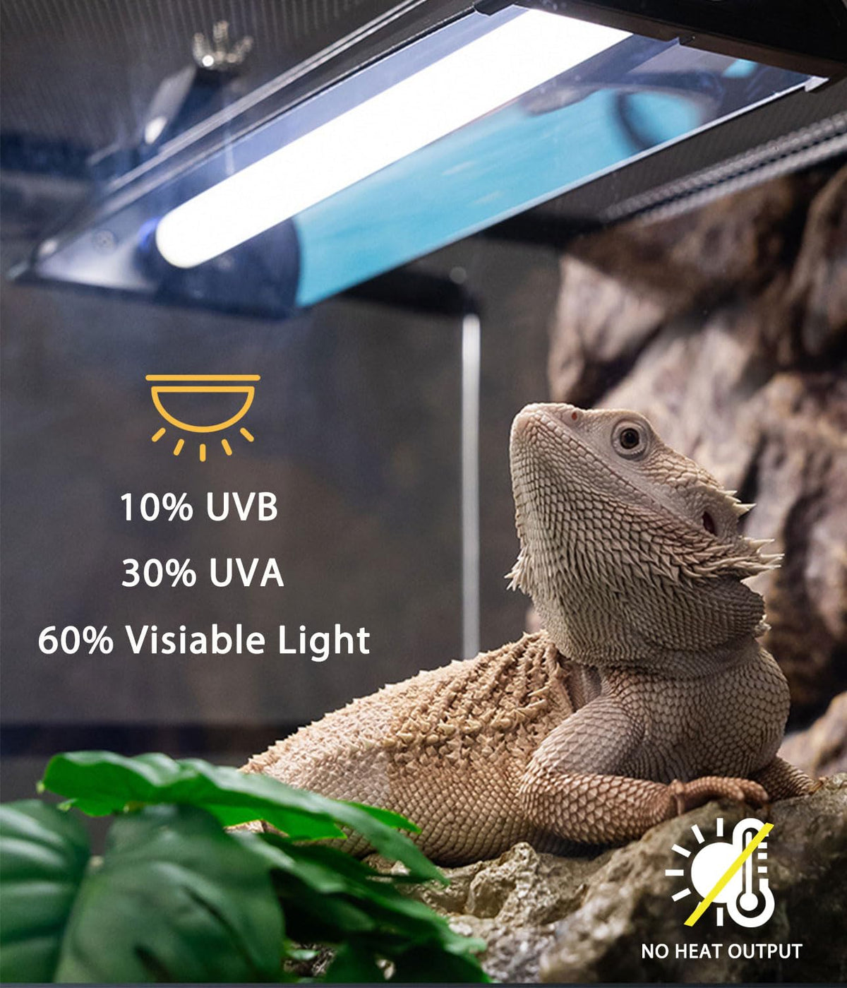 8W 12 Inch Switchable 10.0 & 5.0 UVB Reptile Light Fixture Combo Kit F3924