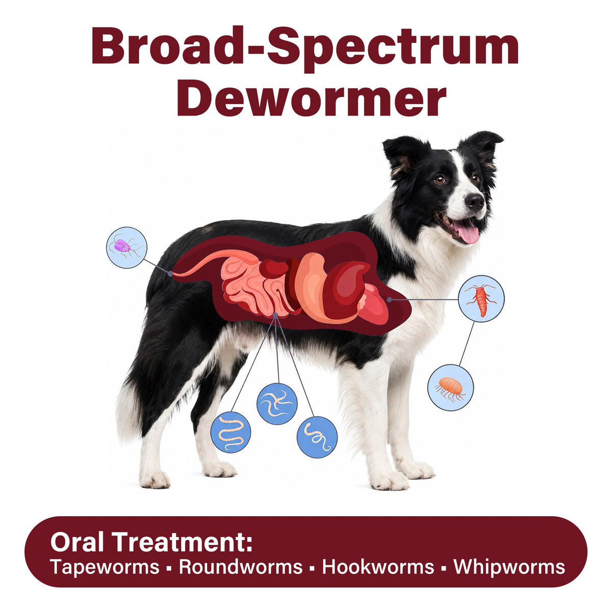 Dog Dewormer 30 Tablets Beef Flavor K98421