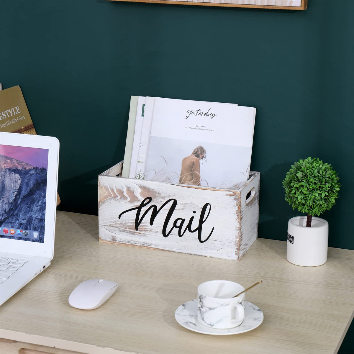 White Mail Organizer D23271