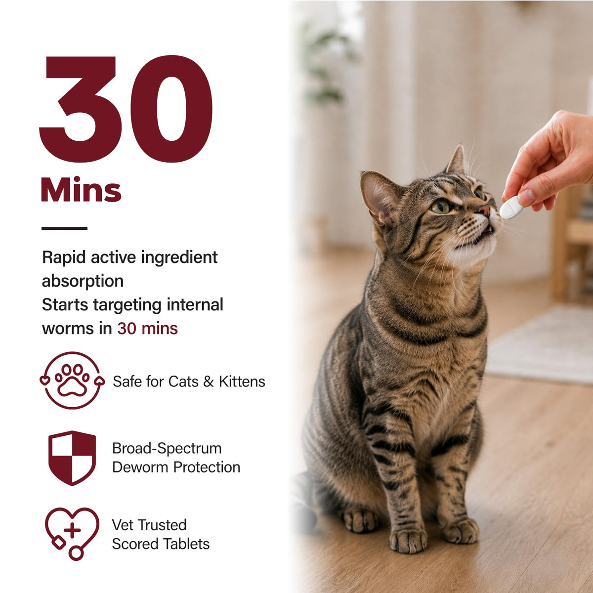 Cat Dewormer, Beef Flavor, 30 Tablets C8192