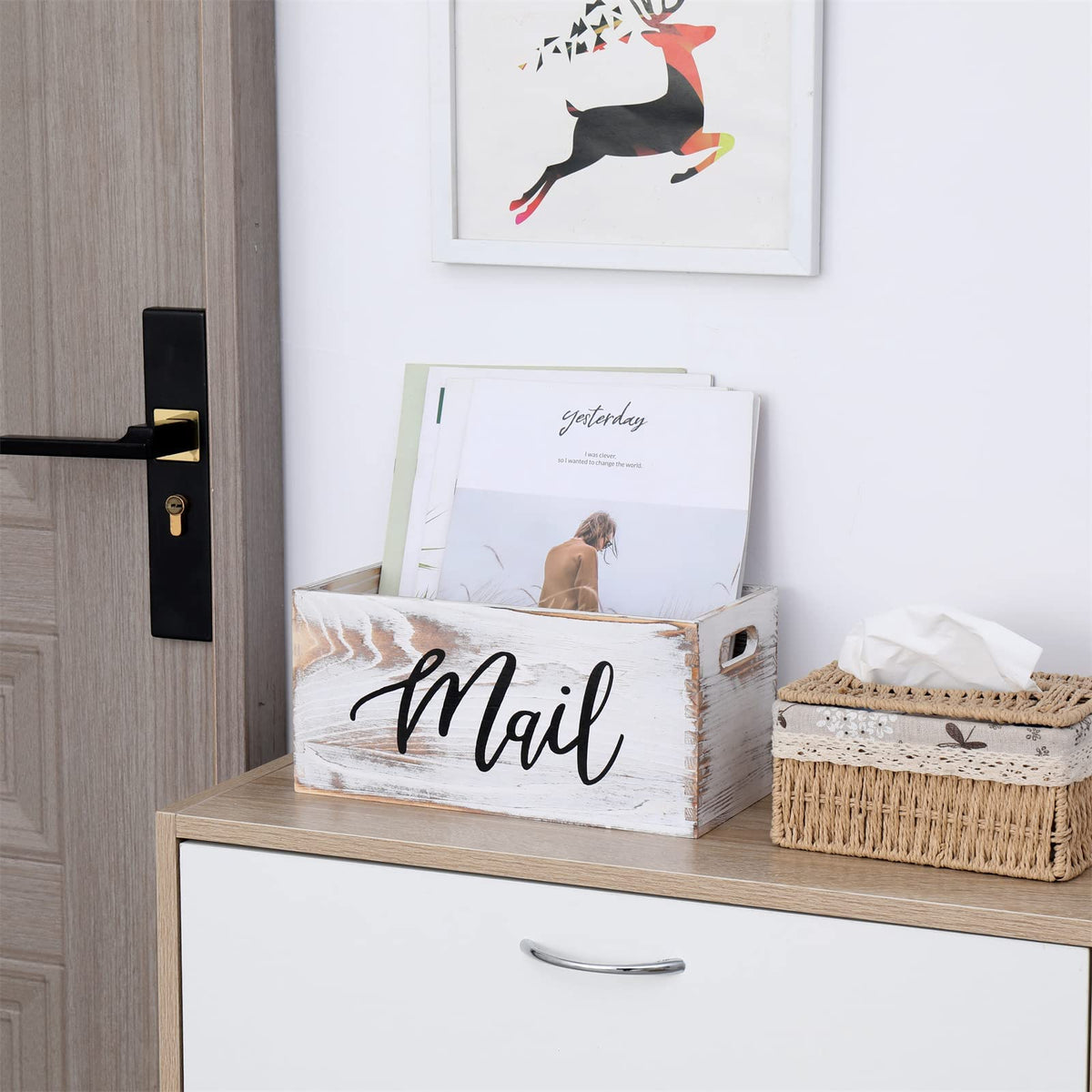 White Mail Organizer D23271