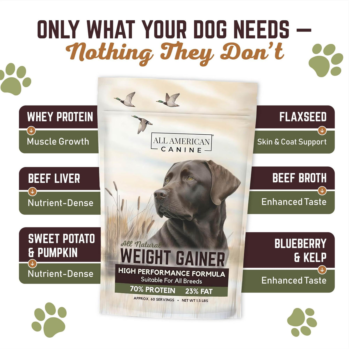 High Calorie Dog Weight Gainer Powder 60 Servings B5049