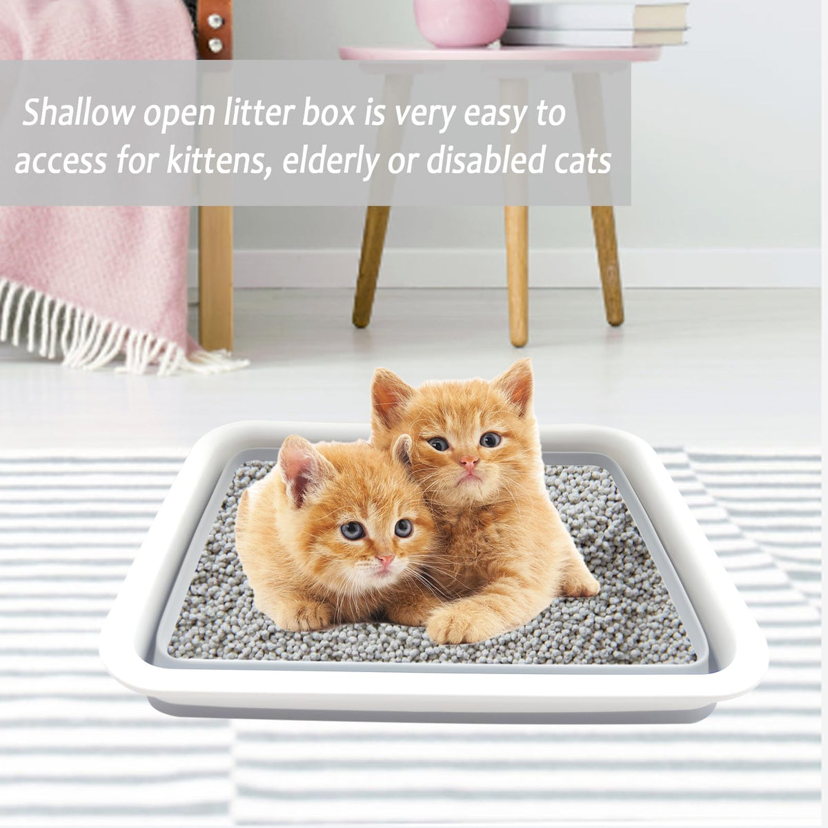 Collapsible Low Entry Small Cat Litter Box S8116