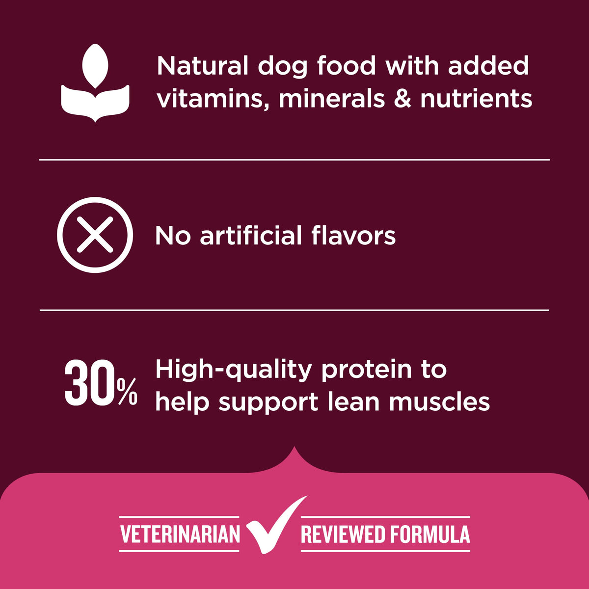 High Protein Dry Dog Food 4 lb. Bag L759