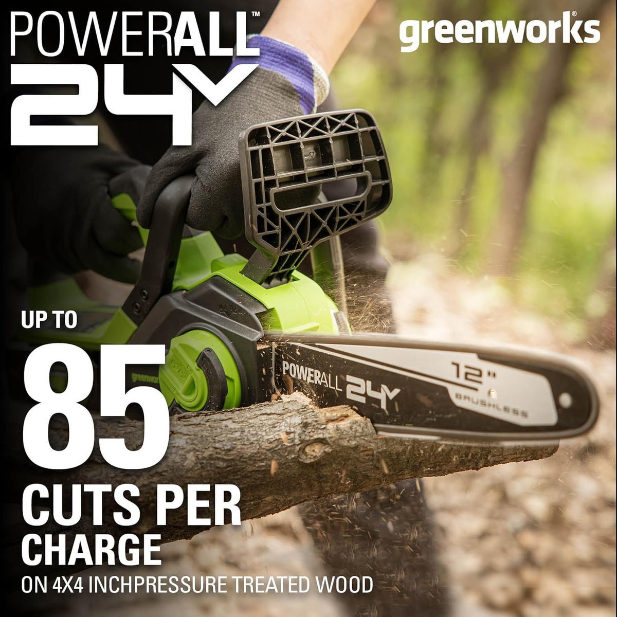 24V 12 in Cordless Electric Chainsaw J494939