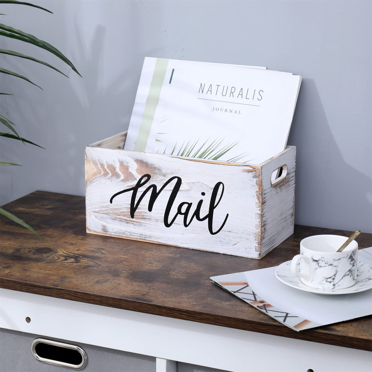White Mail Organizer D23271