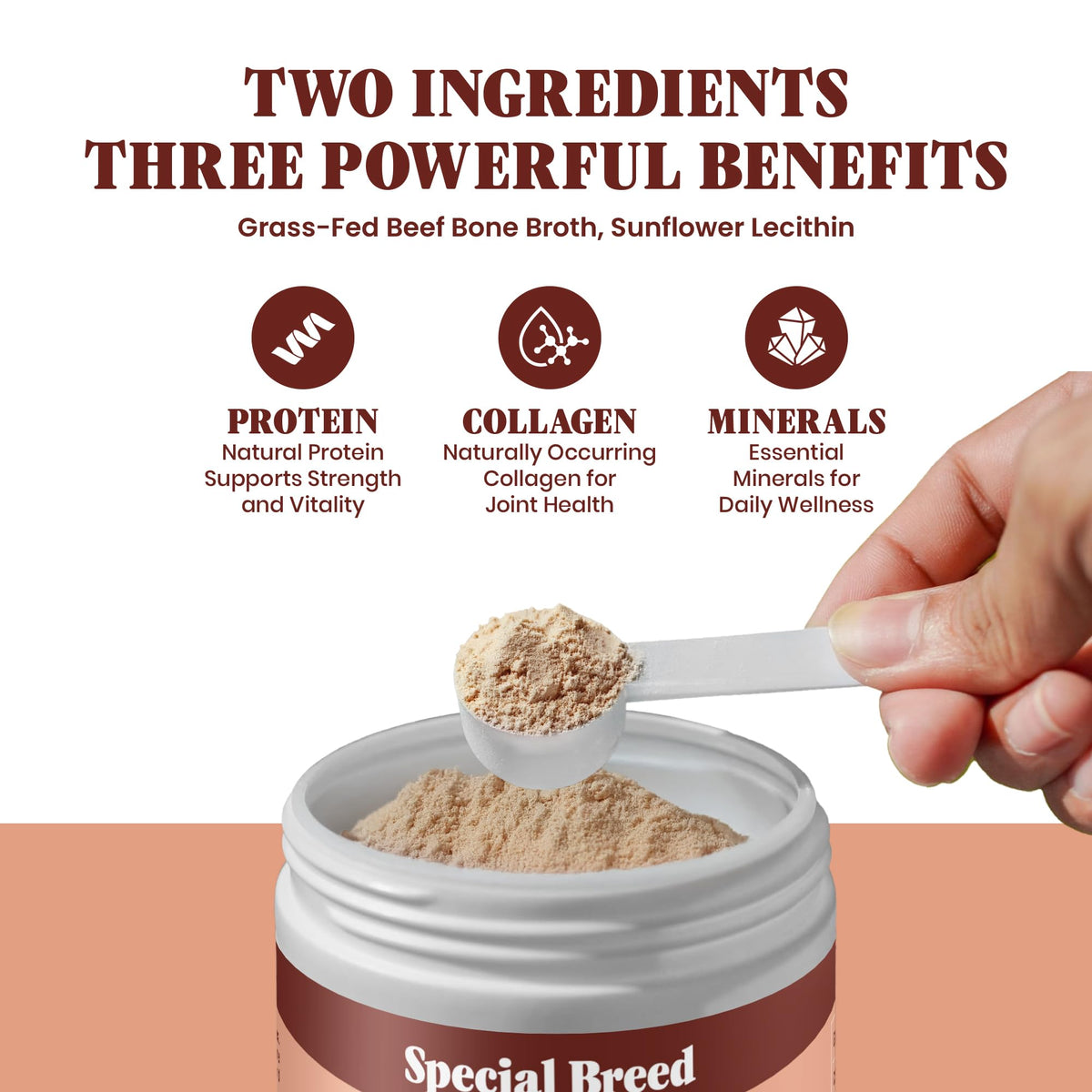 Grass Fed Beef Bone Broth Powder for Dogs and Cats 9.5oz R43594
