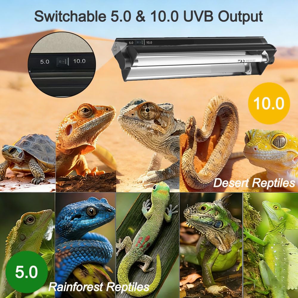 8W 12 Inch Switchable 10.0 & 5.0 UVB Reptile Light Fixture Combo Kit F3924