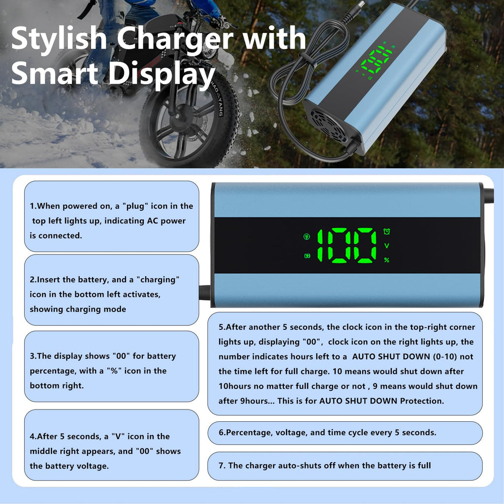 54.6V 3A Electric Scooter Charger 6 in 1 Plugs I526104