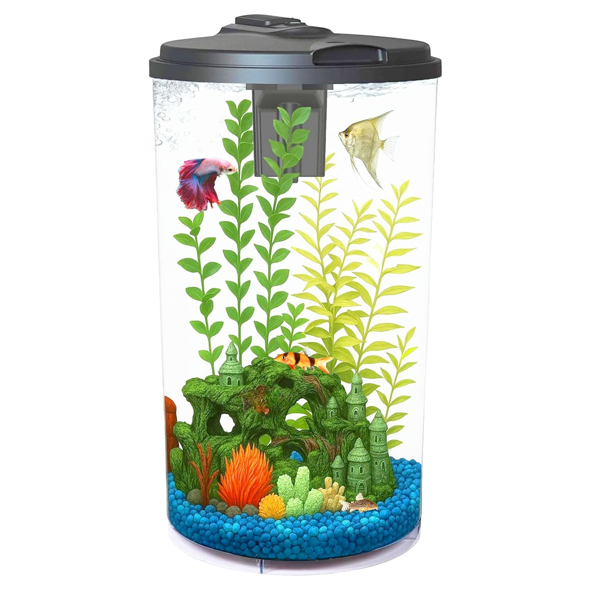 6-Gallon Aquarium Kit with LED Lighting and Power Filter A19162