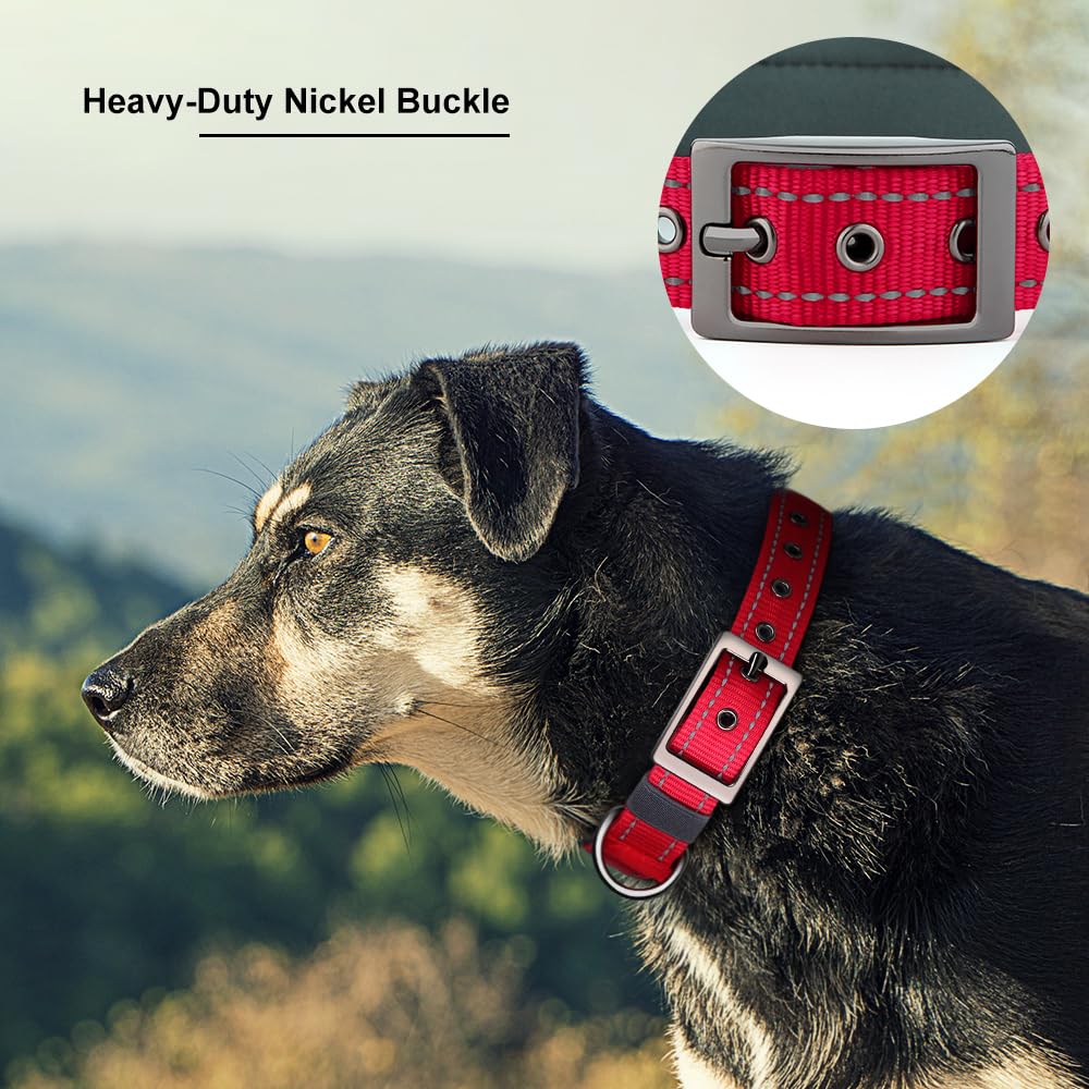 Personalized Dog Collar with Name and Number N65641