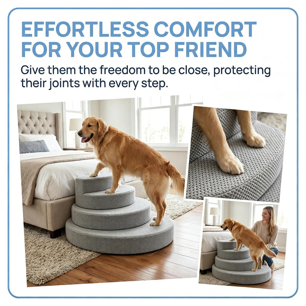 Modular Dog Stairs F667121