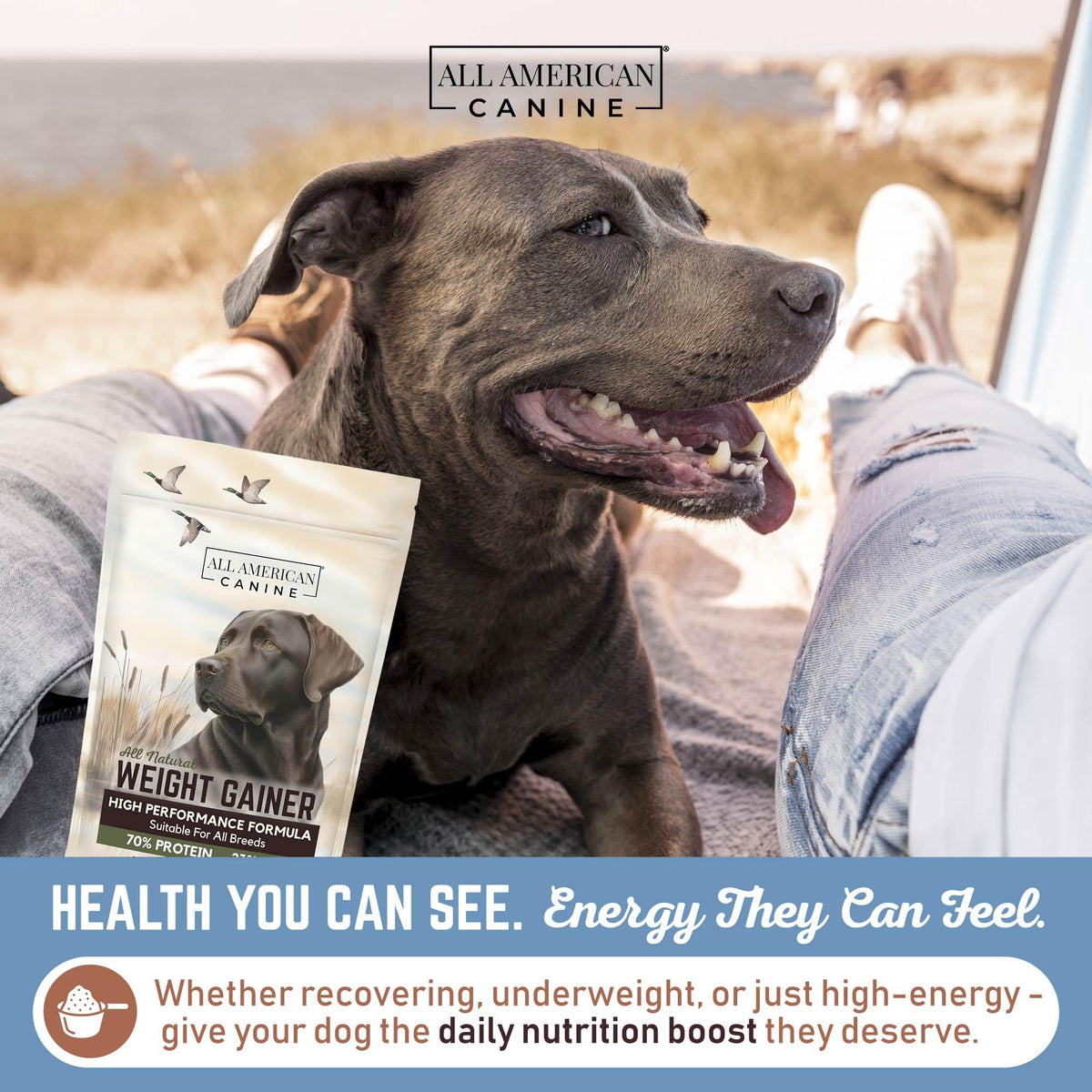 High Calorie Dog Weight Gainer Powder 60 Servings B5049