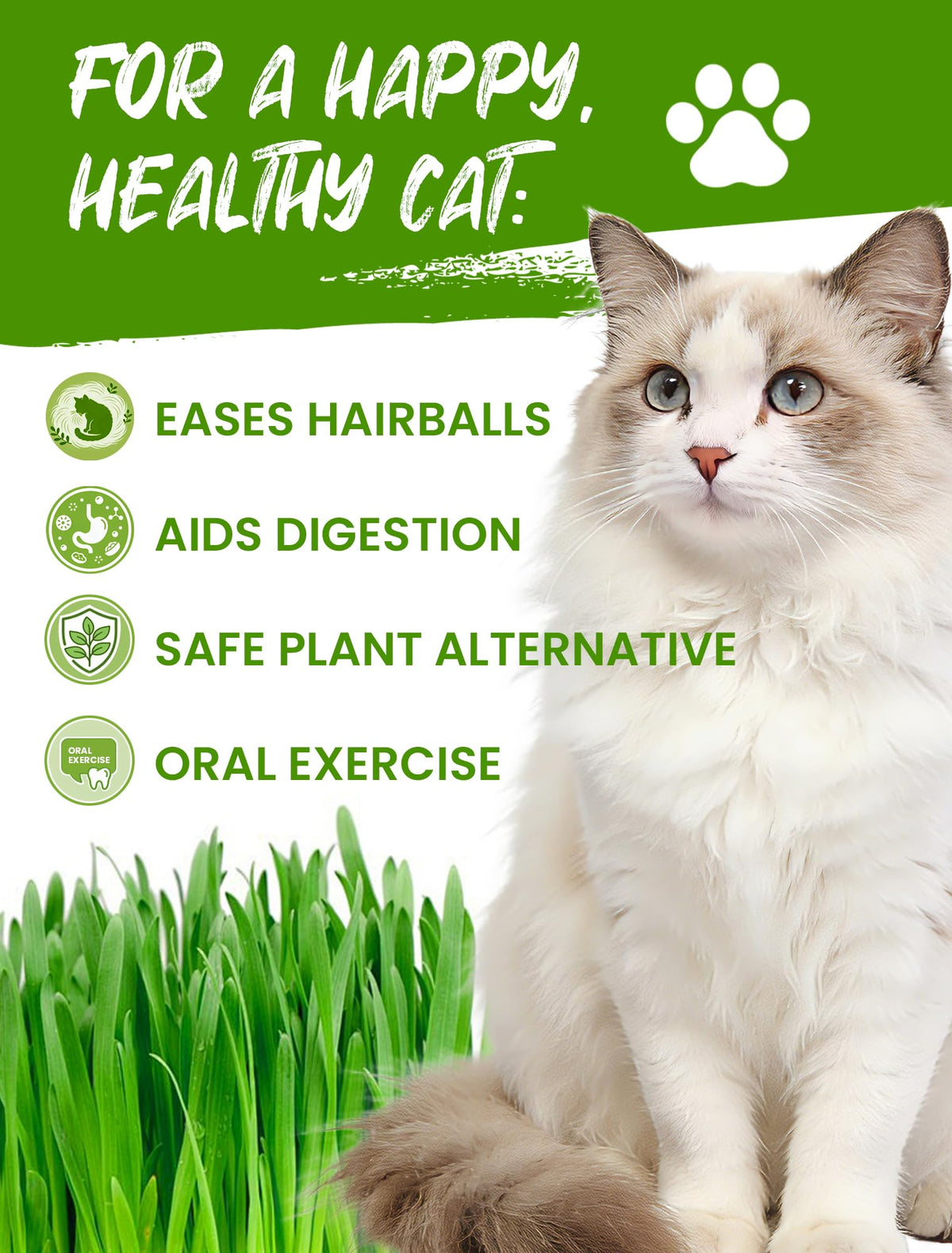3 Pack Cat Grass Kit with Biodegradable Pots, Soil & Seeds J795665