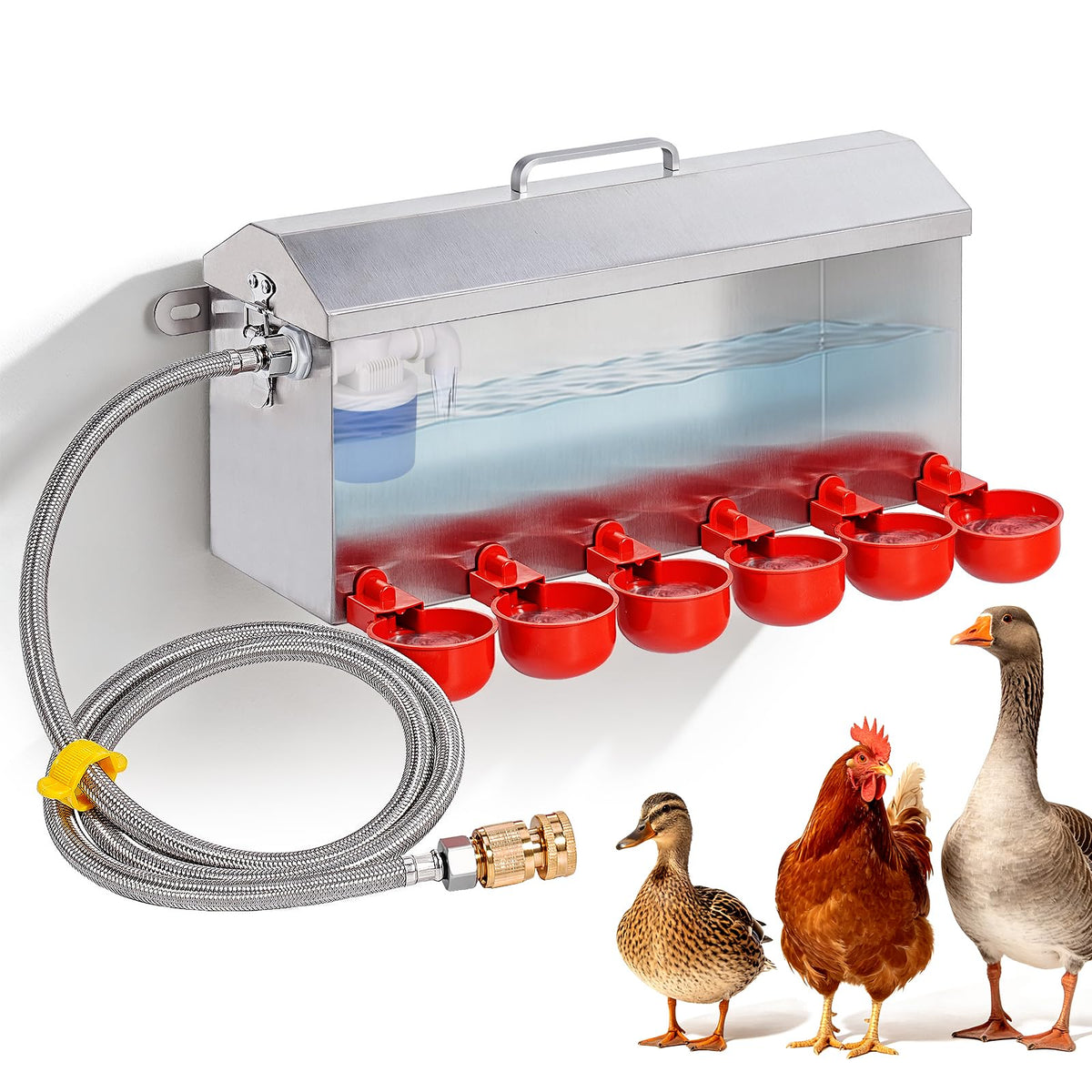 1.5 Gallon Metal Automatic Chicken Waterer E234