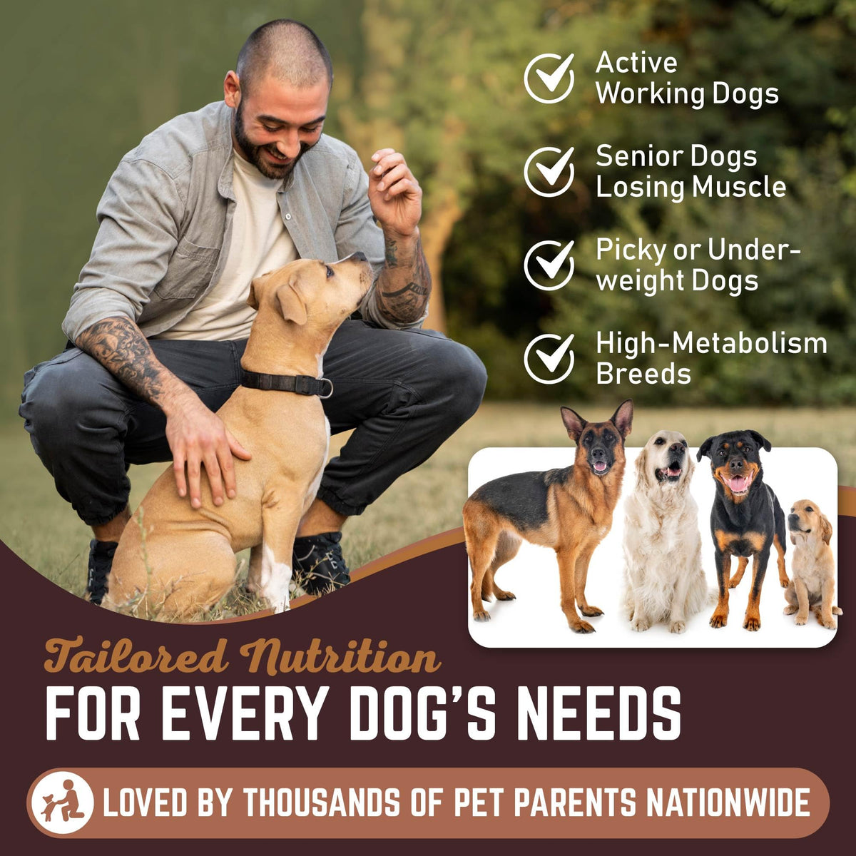 High Calorie Dog Weight Gainer Powder 60 Servings B5049