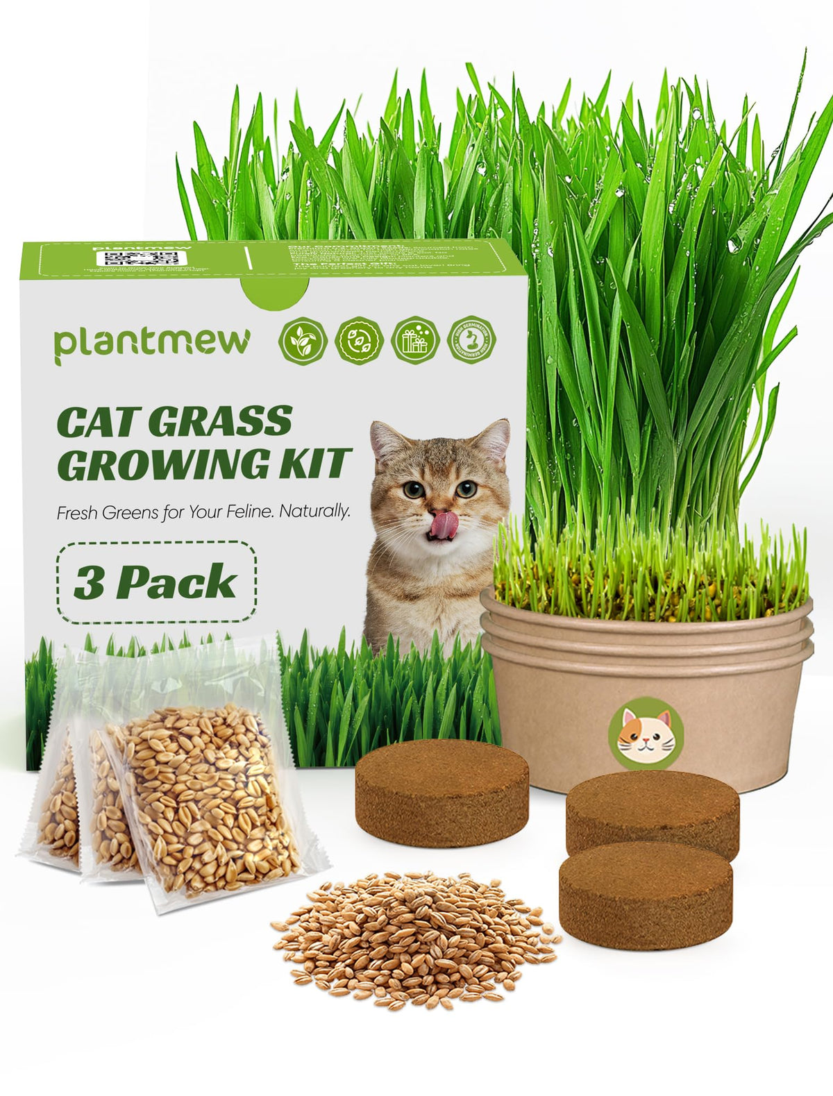 3 Pack Cat Grass Kit with Biodegradable Pots, Soil & Seeds J795665