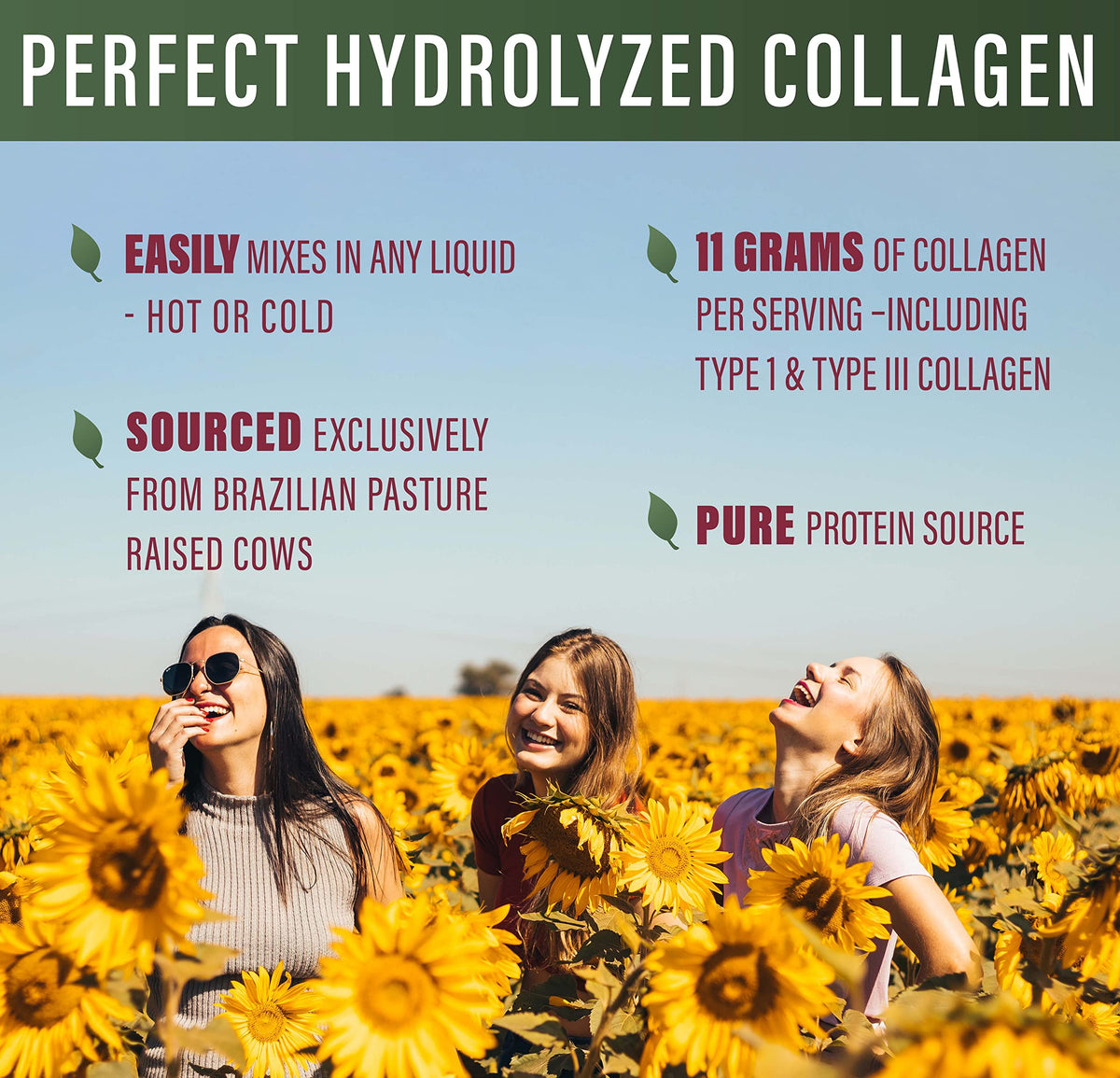 Hydrolyzed Collagen Powder 660 Grams H813394